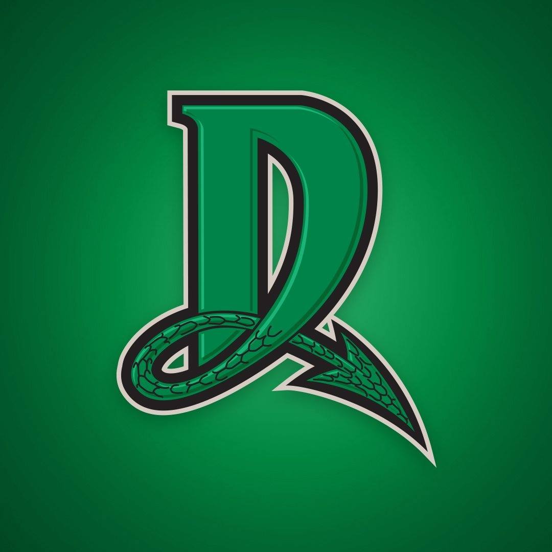 Dayton Dragons Suite Raffle 2021 – www.jldayton.org